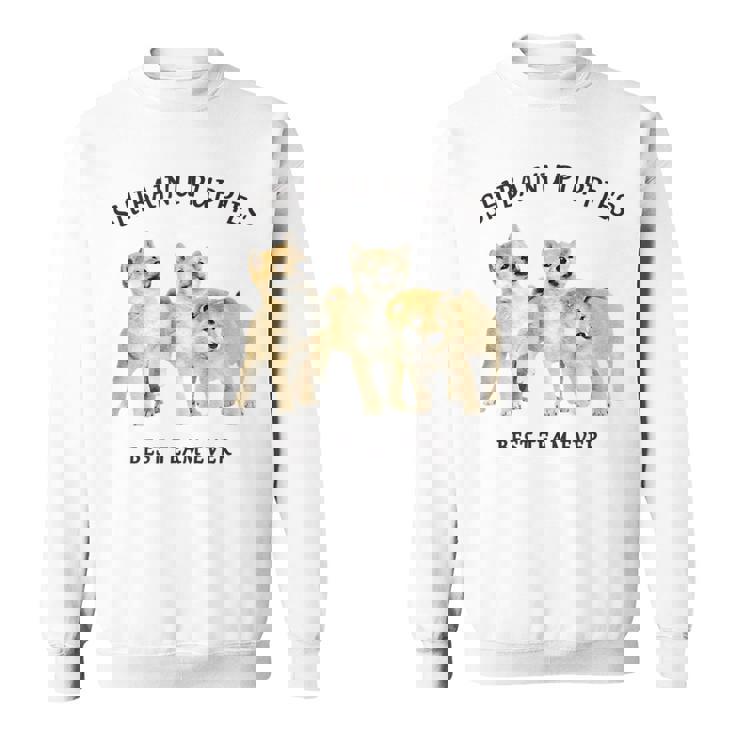 柴犬 しばいぬ 子柴 柴犬子犬 チーム いぬ プリント 写真 水彩 おしゃれ かわいい 犬飼い 犬好き スウェットシャツ