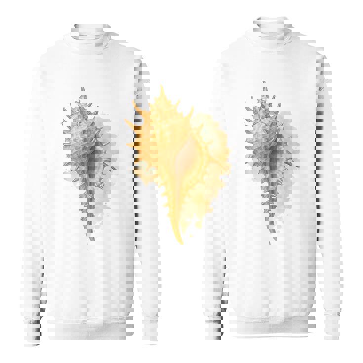 水彩 ムレックス 貝殻 貝殻 ハンティング ビーチコーミング スウェットシャツ