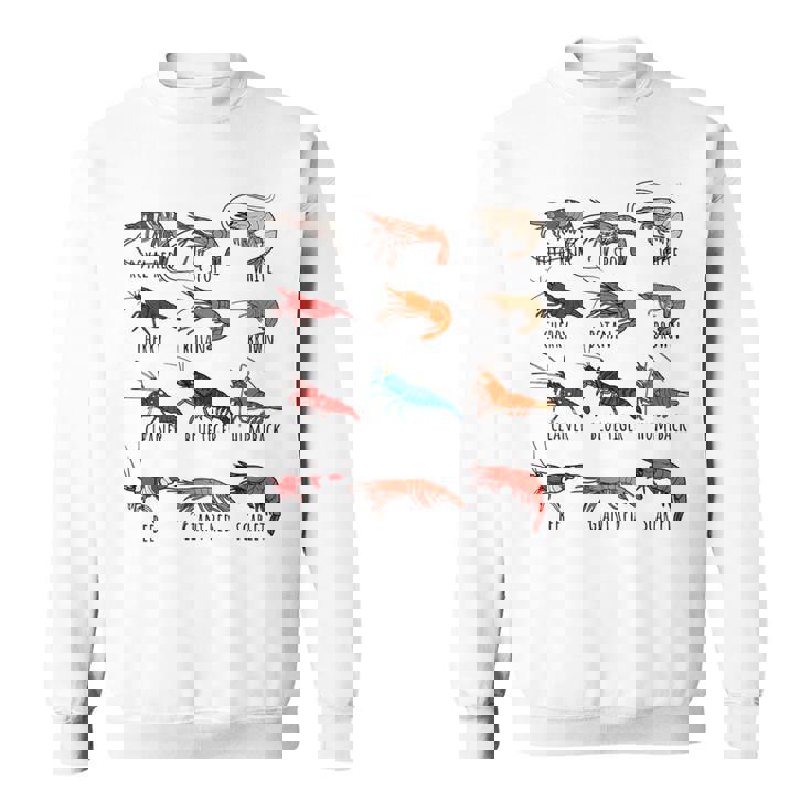 異なるタイプのエビの品種コレクション、かわいいエビ愛好家。 スウェットシャツ