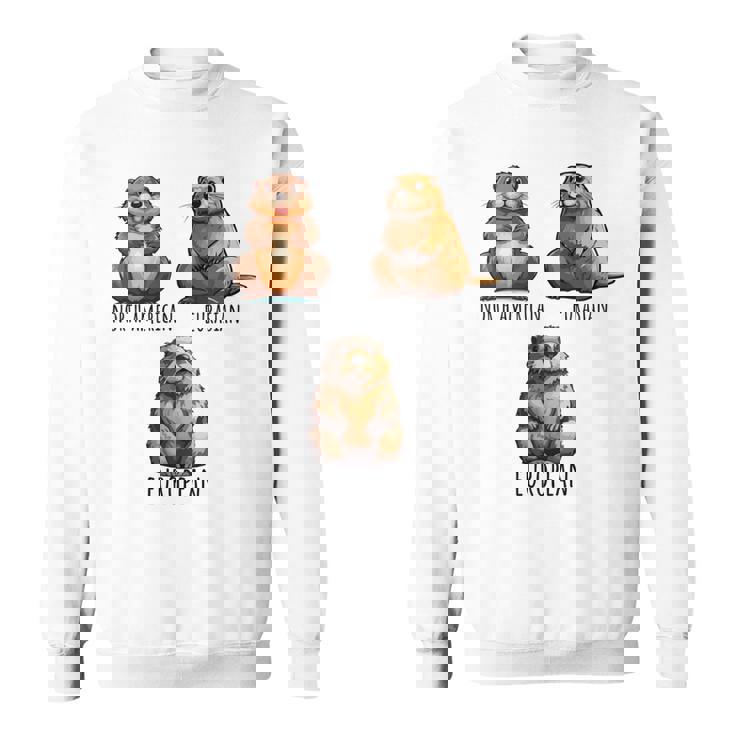 異なるタイプのビーバーズ品種コレクション、かわいいビーバーが大好き。 長袖tシャツ スウェットシャツ