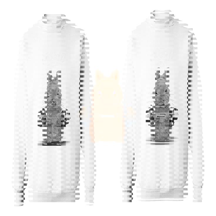 筋トレ ジム やる気がないなら家に帰れ ネザーランドドワーフ ウサギ ベージュ スウェットシャツ