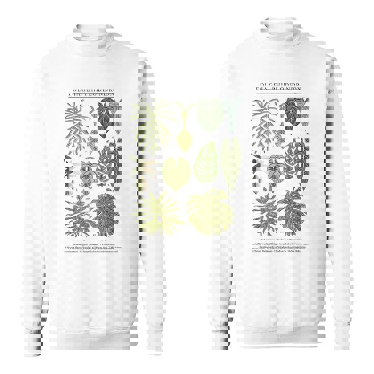 葉 フィロデンドロン サトイモ 植物 恋人 ギフト アンスリウム スウェットシャツ