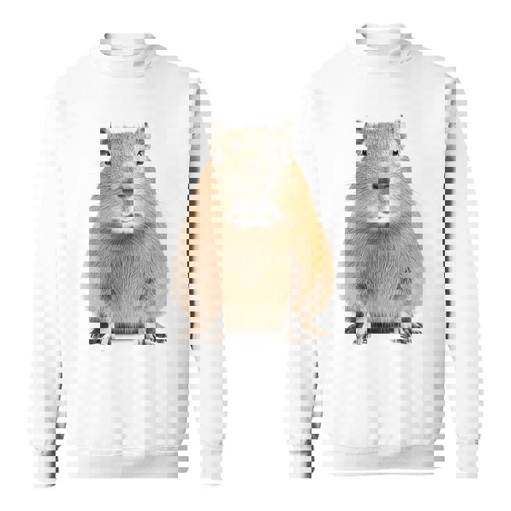 豚 ペット げっ歯類 動物愛好家 ギフト スウェットシャツ