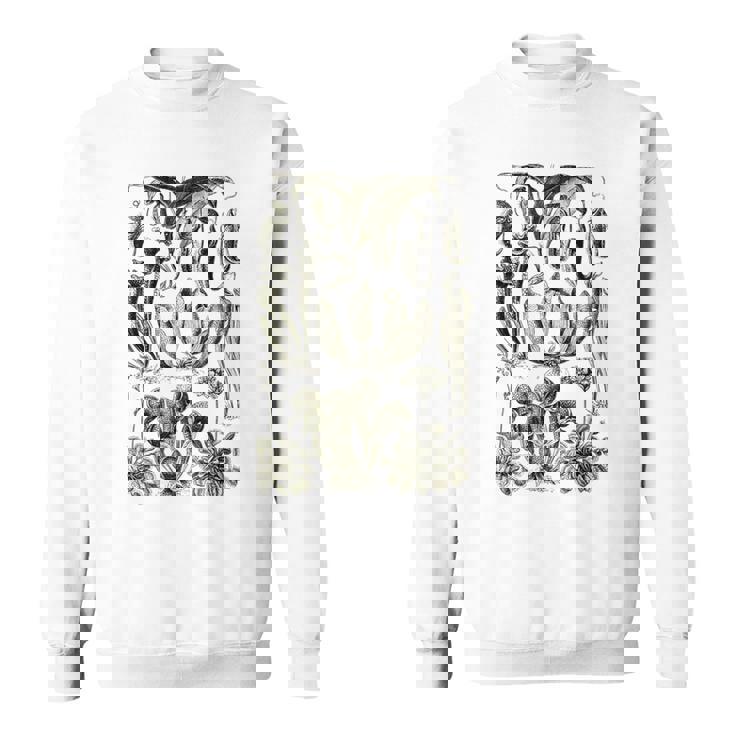 食虫植物 ヴィンテージ サラセニア ボタニカル スウェットシャツ