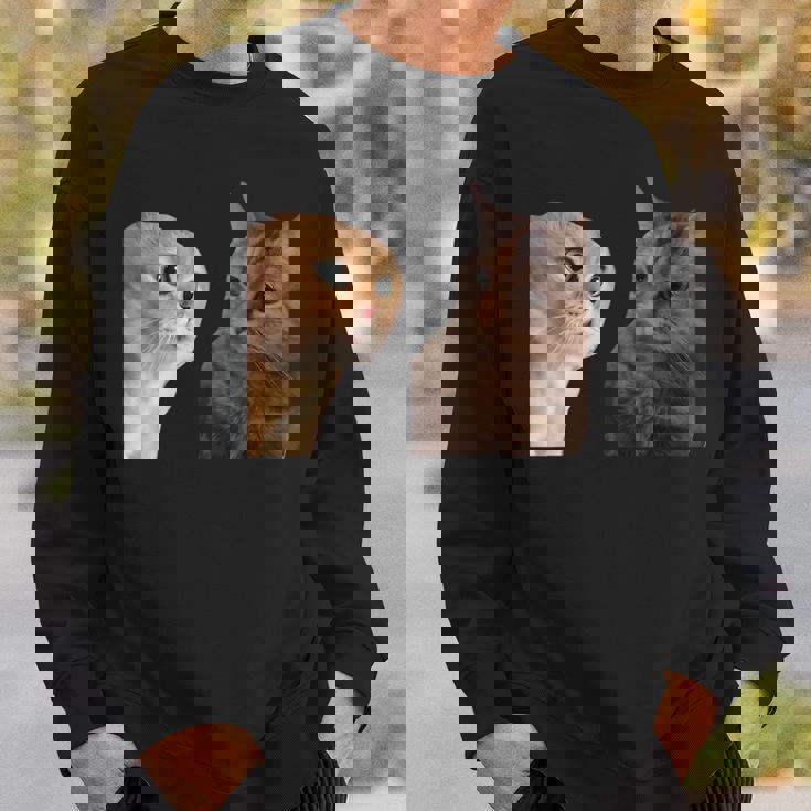 2匹の猫がミームを話す スウェットシャツ 彼への贈り物