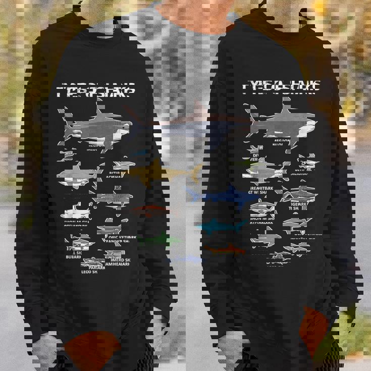 9種類のサメ教育カラフルな海英語 スウェットシャツ 彼への贈り物