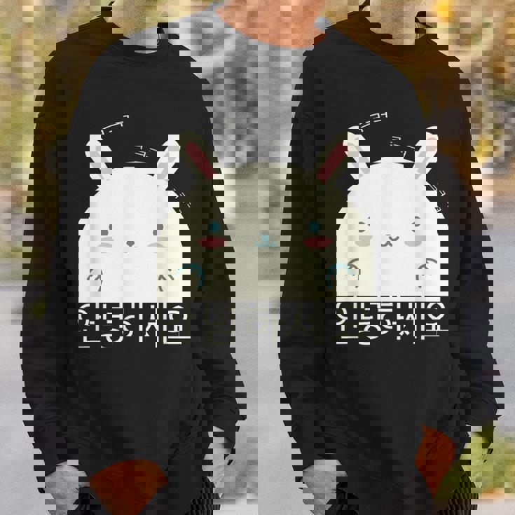 Annyeonghaseyo 笑うかわいいウサギ ハングル 韓国語アルファベット スウェットシャツ 彼への贈り物