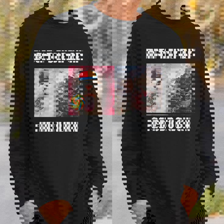 Born To Dilly Dally 強制的にロックインキャット ミーム スウェットシャツ 彼への贈り物