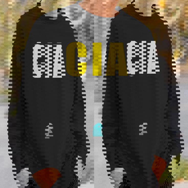 Cia エージェント バードウォッチング コンスピラシー ピジョン スパイ スウェットシャツ 彼への贈り物