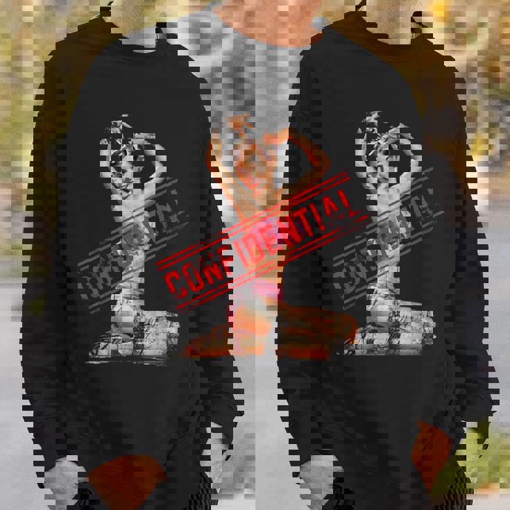 Confidential ピンナップガール スウェットシャツ 彼への贈り物