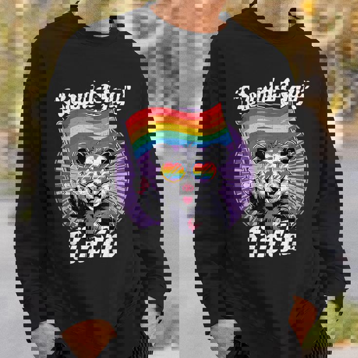 Cute Lgbtq Possum Holding Flag With Sounds Gay Quote Sweatshirt Gifts for Him