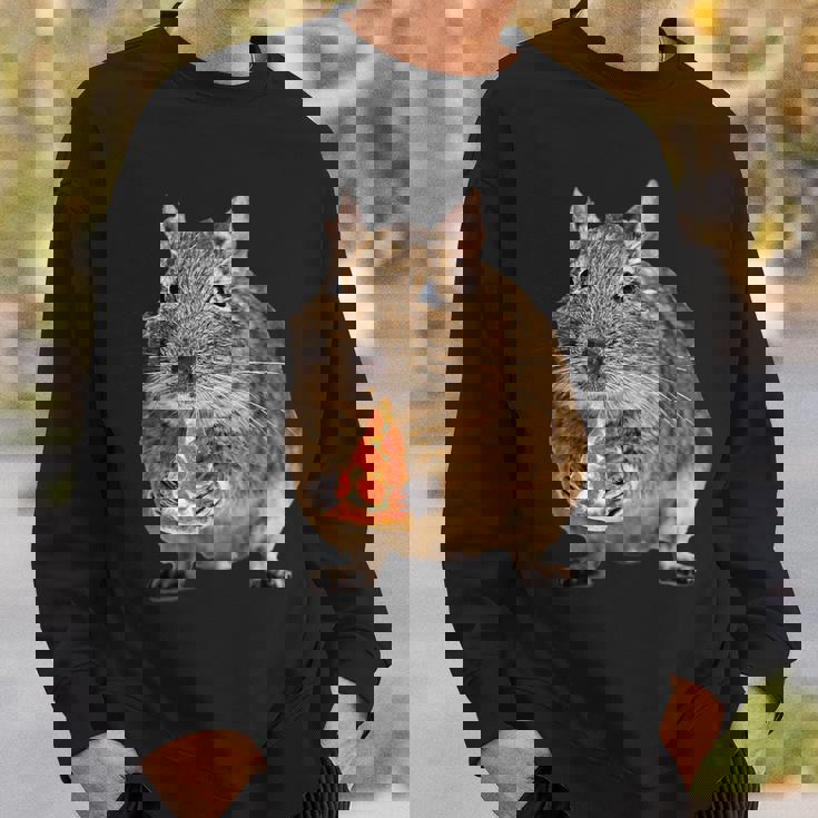 Degu Eating Alice Of Pizza スウェットシャツ 彼への贈り物