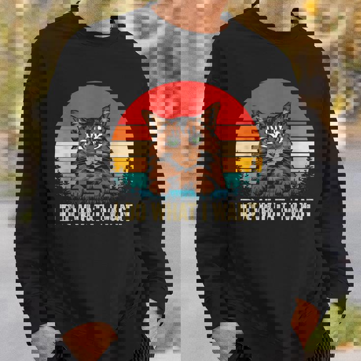 I Do What I Want Cat レトロ ヴィンテージ 面白い 猫好き スウェットシャツ 彼への贈り物