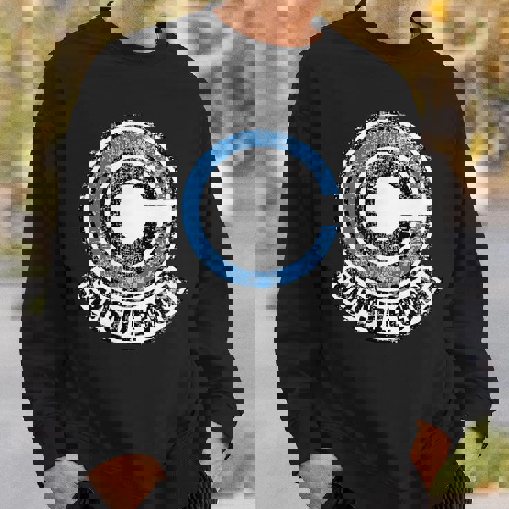 Dragon Capsule Ball Corp レディース メンズ スウェットシャツ 彼への贈り物