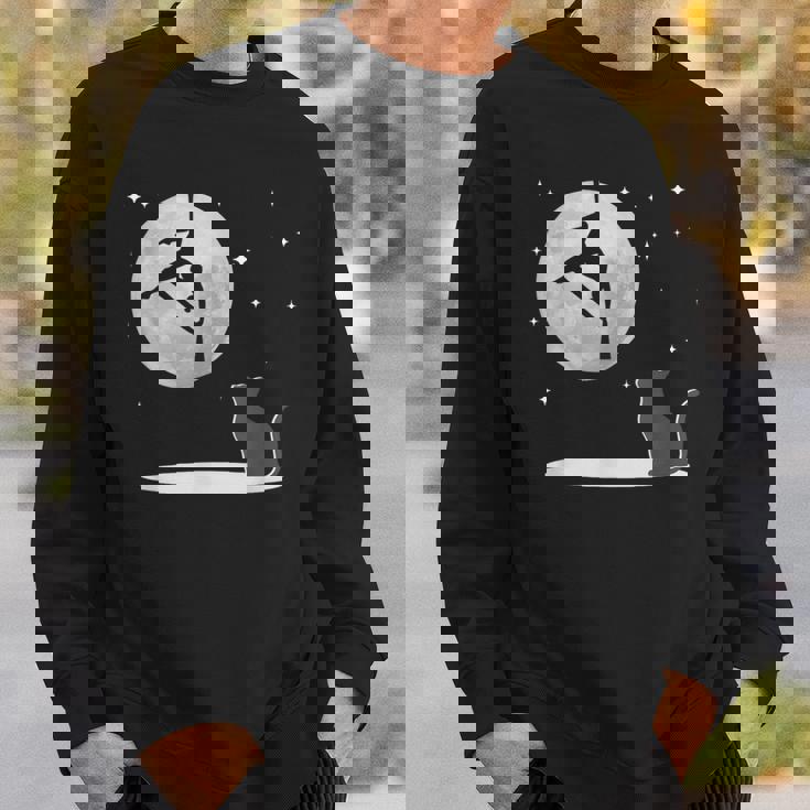 Fly Aerial ヨガハンモックシルク 星と月 猫 猫好き スウェットシャツ 彼への贈り物