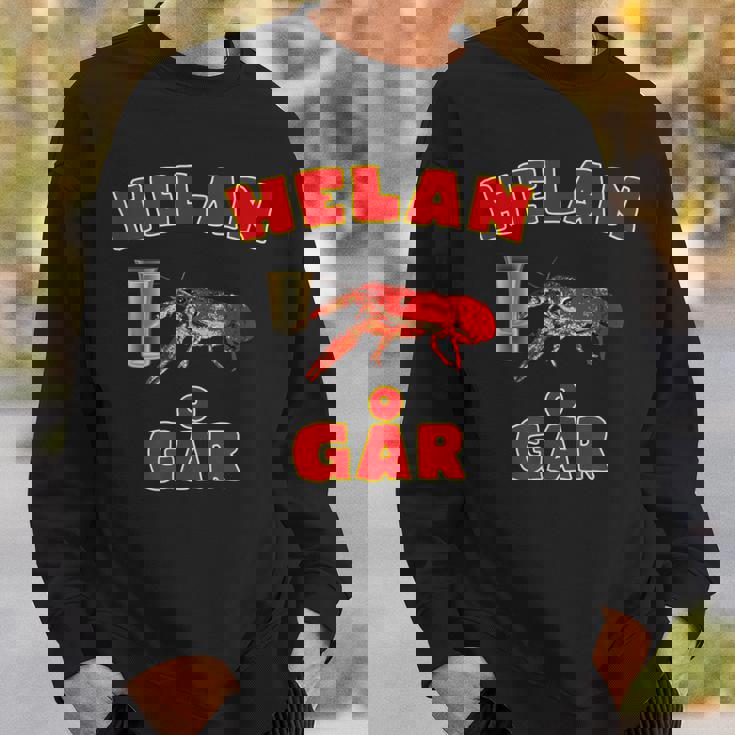 Helan Går スウェーデンの歌 ザリガニ付き スウェーデン スウェットシャツ 彼への贈り物