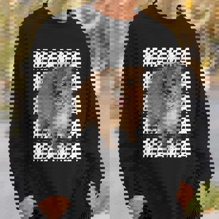 Hyrax ケープハイラックス スウェットシャツ 彼への贈り物