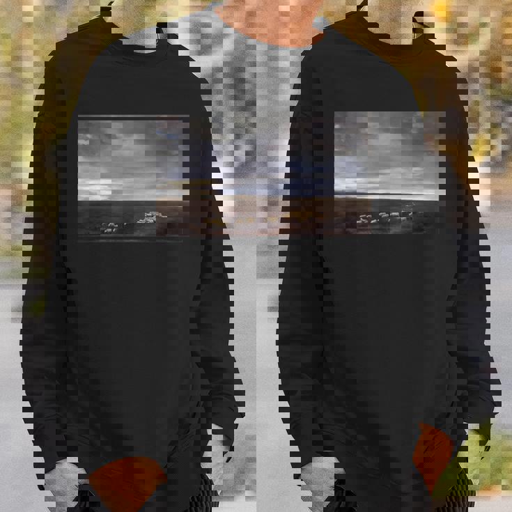 Lumen En Coelo コエロのルーメン ホセ・マリア・ベラスコ スウェットシャツ 彼への贈り物