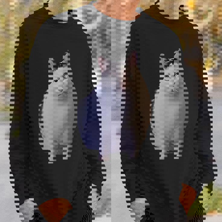 Meme Huh Catミームハァキャット面白い スウェットシャツ 彼への贈り物