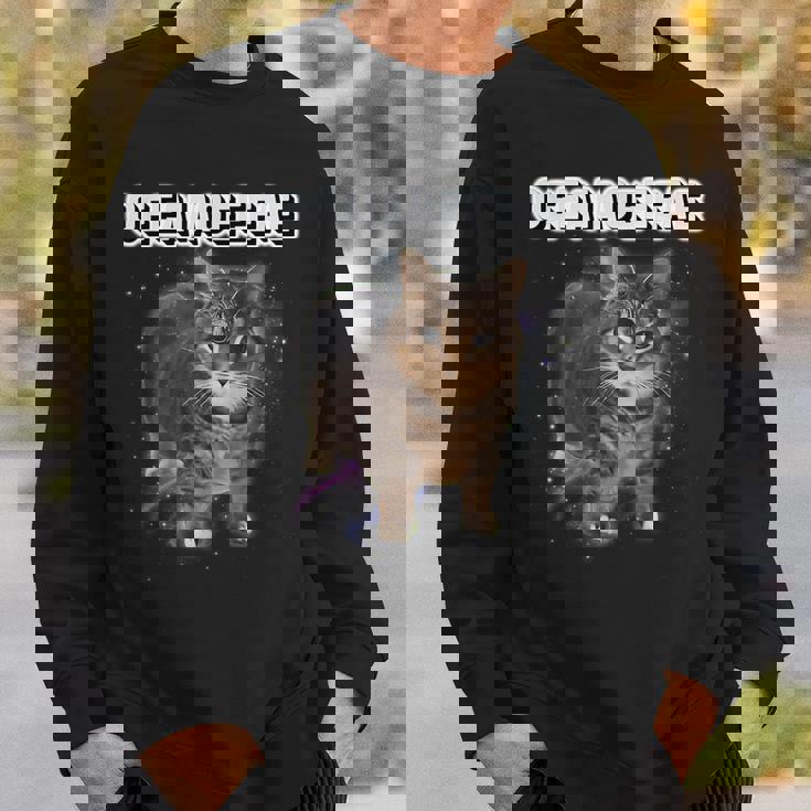 Oiiaoiia 猫 スピニング 猫 ミーム ファニー トレンディ キャット ミーム スウェットシャツ 彼への贈り物