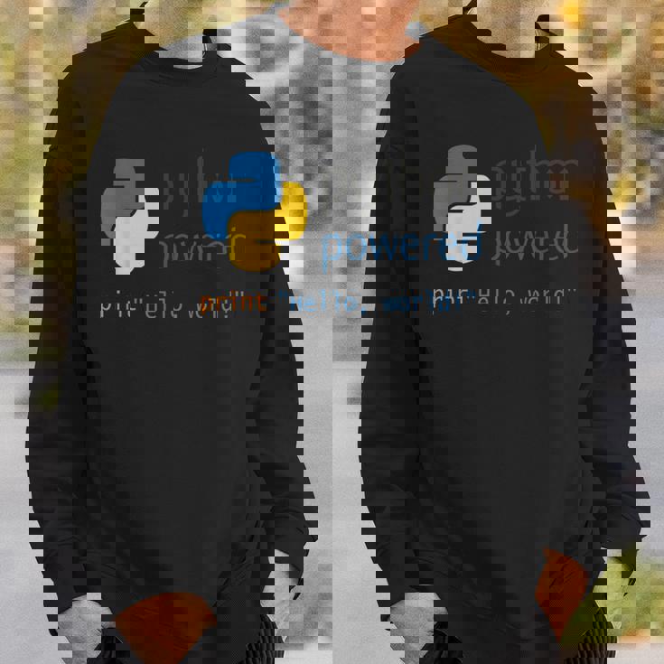 Pythonプログラマーティーコンピューター開発者 スウェットシャツ 彼への贈り物