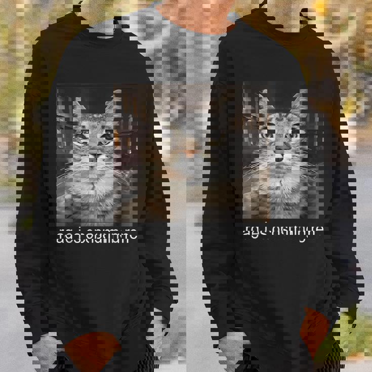 Rage Is Consuming Me 愚かな凝視猫ミーム スウェットシャツ 彼への贈り物