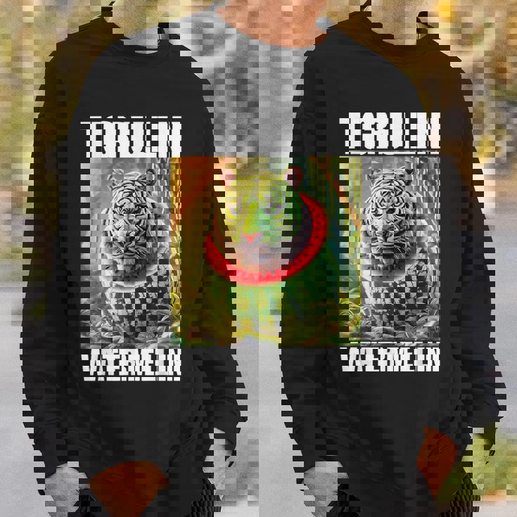 Tigrullini Watermellini イタリアンブレインロットミーム スウェットシャツ 彼への贈り物