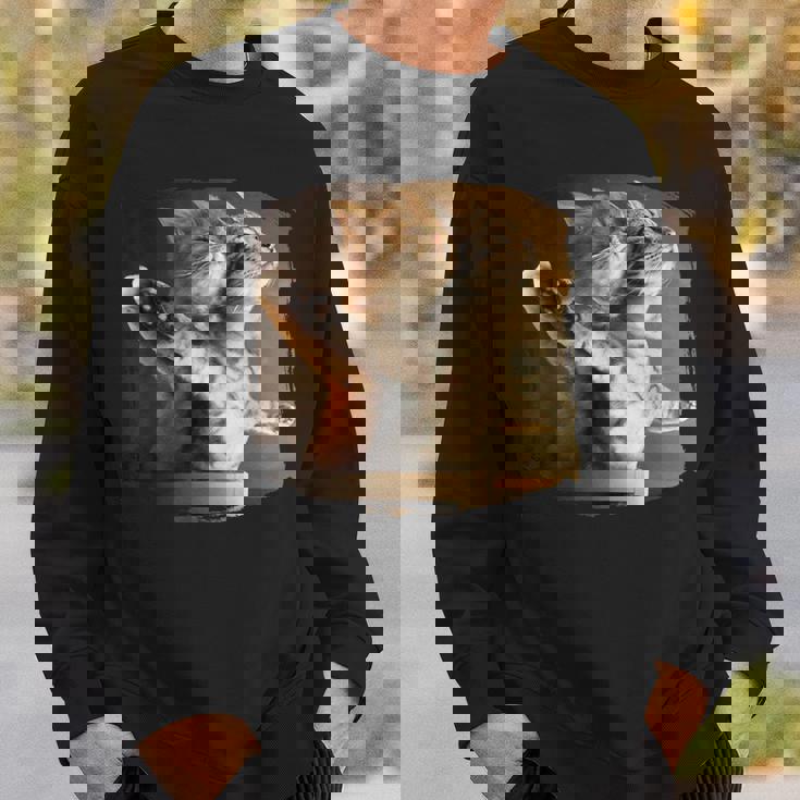 TitaniCムービーにインスパイアされた面白い猫好きのミーム。 スウェットシャツ 彼への贈り物