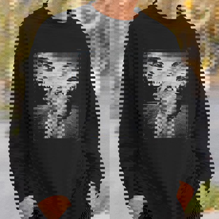 Ufo 遭遇 黄色 実験犬 自撮り 写真 エイリアンの侵略 スウェットシャツ 彼への贈り物