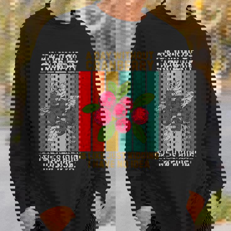 Vintage A Day Without Cranberry I Have No Idea クランベリー スウェットシャツ 彼への贈り物