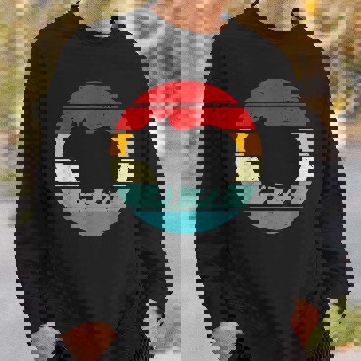 Vintage Retrounset Capybara スウェットシャツ 彼への贈り物