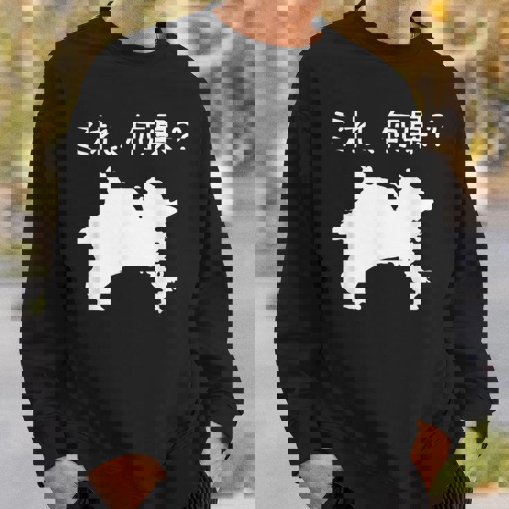 【これ、何県？】神奈川県 都道府県 クイズ 小学生 遊び心 パズル 地図 シルエット 地理 先生 おもしろ 面白い ネタ スウェットシャツ 彼への贈り物