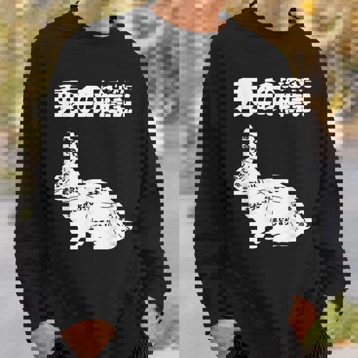 うさぎの撫で方の説明、うさぎ好き、うさぎの飼い主、プレゼント、おもしろうさぎ、うさぎ、 スウェットシャツ 彼への贈り物