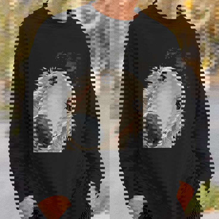 おさるの犬 バルソイ スウェットシャツ 彼への贈り物