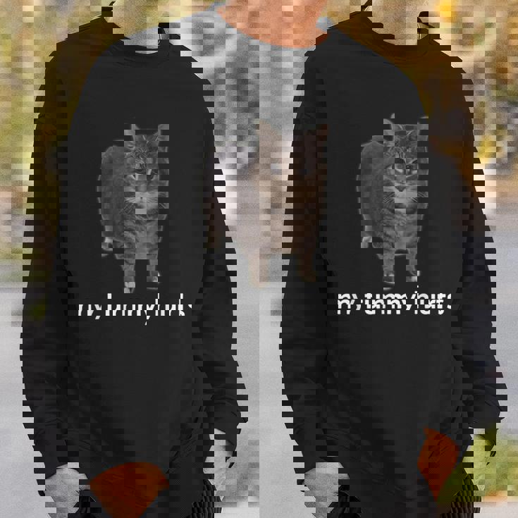 お腹が痛い面白いオイイア・オイア・キャット・ミーム スウェットシャツ 彼への贈り物