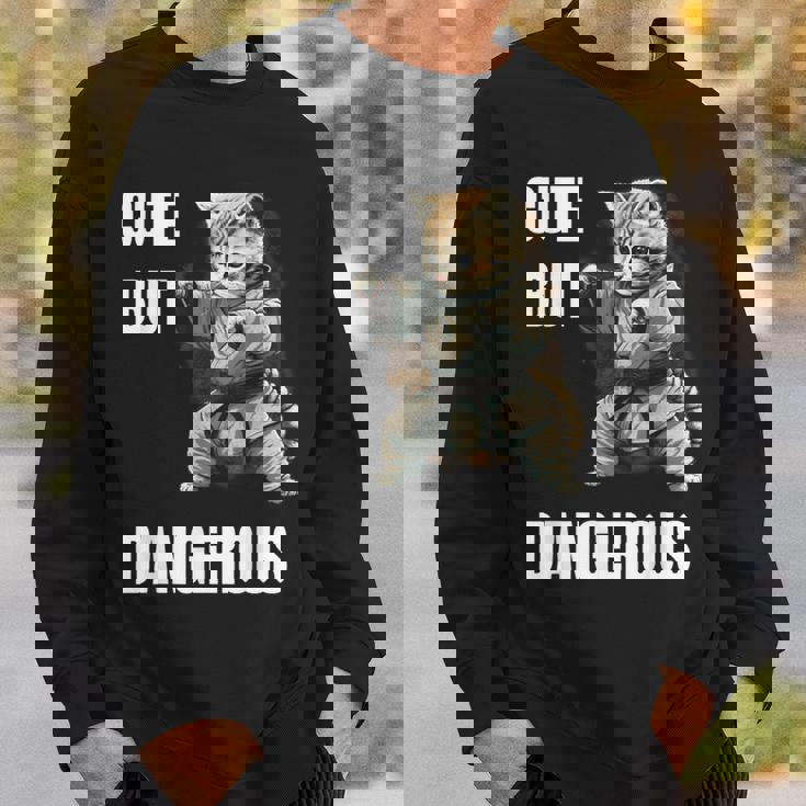 かわいいけど危険な空手 面白い テコンドー 猫 格闘技 スウェットシャツ 彼への贈り物