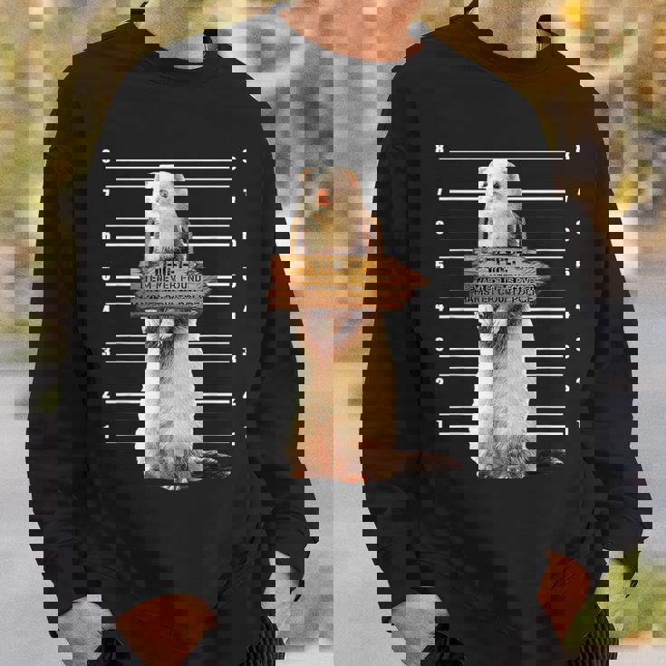 かわいいフェレット泥棒 面白い動物 スウェットシャツ 彼への贈り物