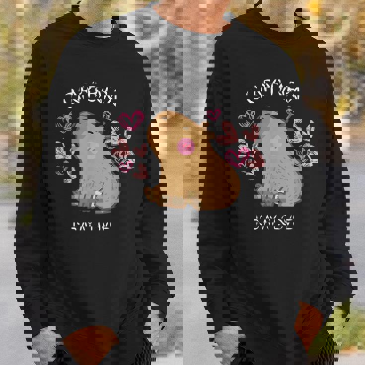 げっ歯類 面白いカピバラ カピバラアート メンズ レディース キッズ スウェットシャツ 彼への贈り物