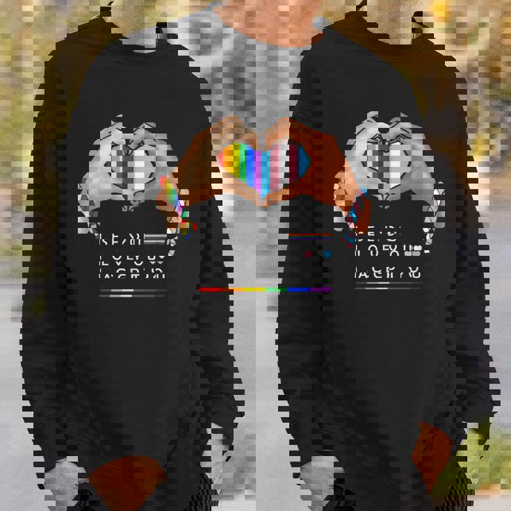 なるほど、愛してる、受け入れるよ、Lgbtqの味方プライド スウェットシャツ 彼への贈り物