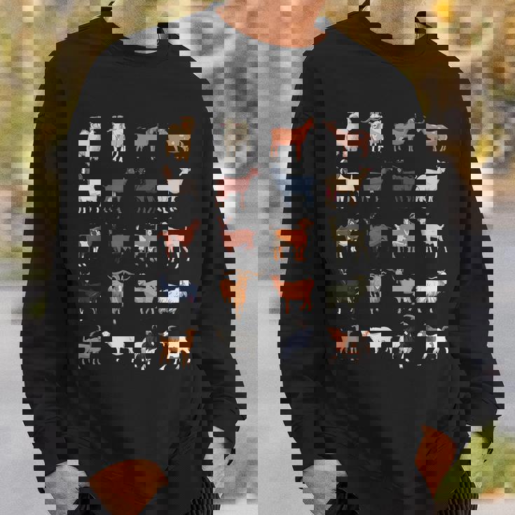 ふれあい動物園 たくさんのヤギ スウェットシャツ 彼への贈り物