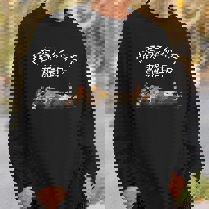 やる気スイッチ故障中 ・ ダックスフンド おもしろ犬 スウェットシャツ 彼への贈り物