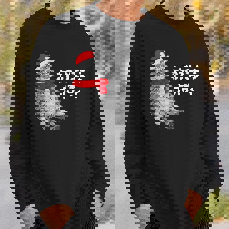 わがままボディ 猫 ねこ クリスマス サンタ 帽子 太ったねこ ぽっちゃり ねこ好き かわいい おもしろ 面白い スウェットシャツ 彼への贈り物