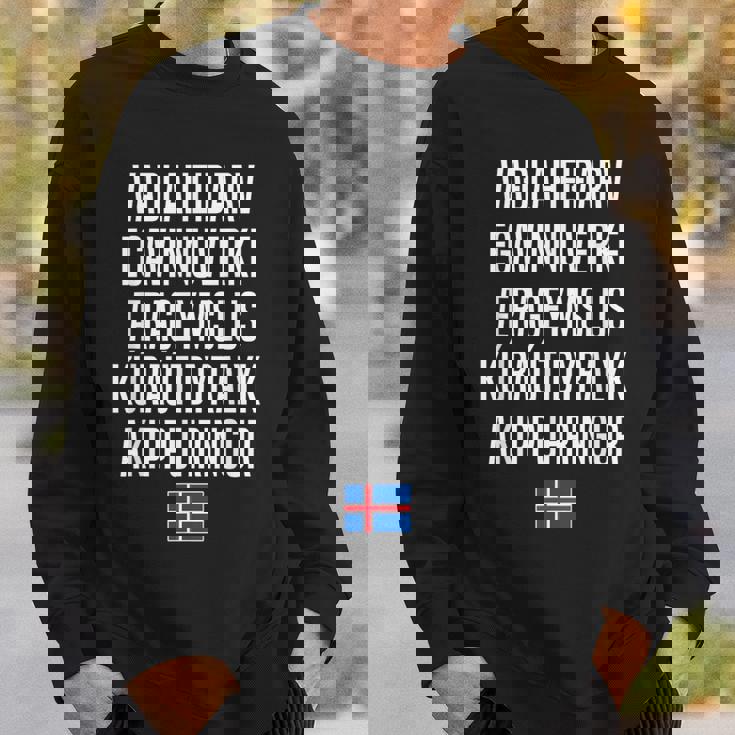 アイスランド語で一番長い単語 アイスランド スウェットシャツ 彼への贈り物