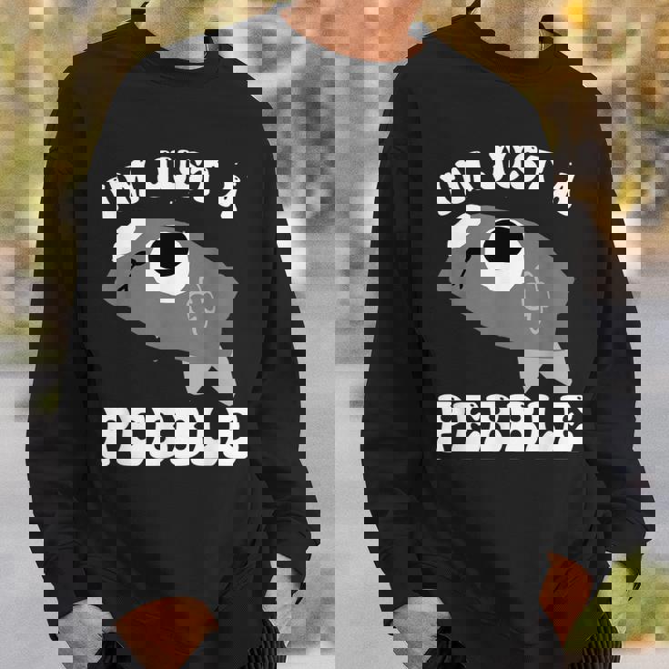 アイム・ジャスト・ア・ペブル・ダンディーズ・ワールド スウェットシャツ 彼への贈り物