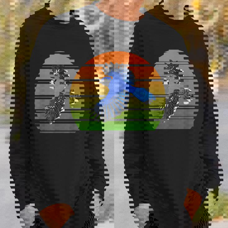 アオカケス 鳥 動物 図 バードウォッチング 贈り物 鳥類学者 生物学者 自然科学 スウェットシャツ 彼への贈り物