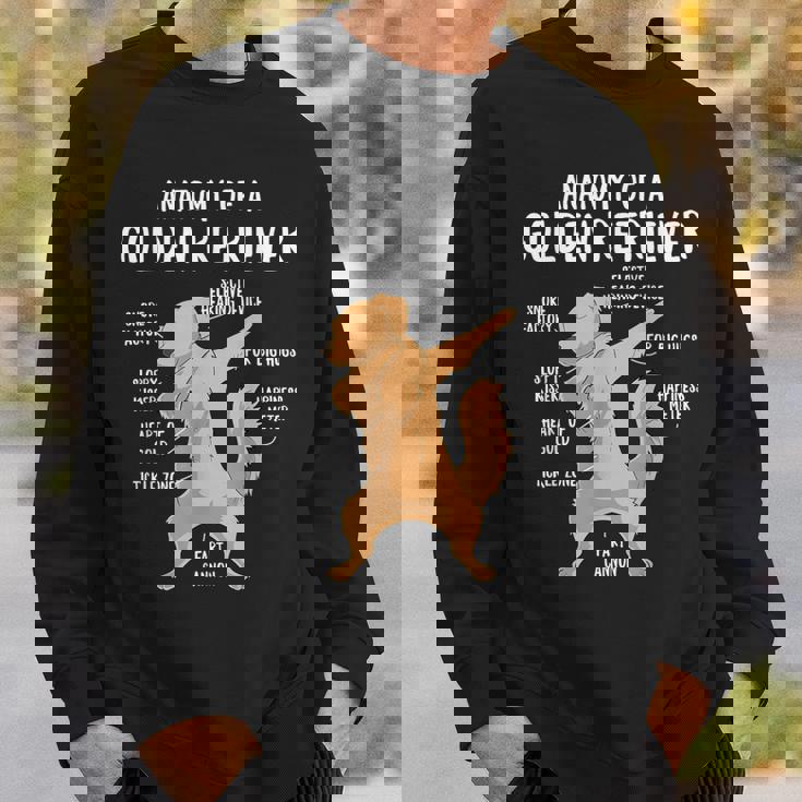 アナトミー・オブ・ア・ゴールデン・レトリバー 犬 オーナー 子犬 面白い キュート スウェットシャツ 彼への贈り物