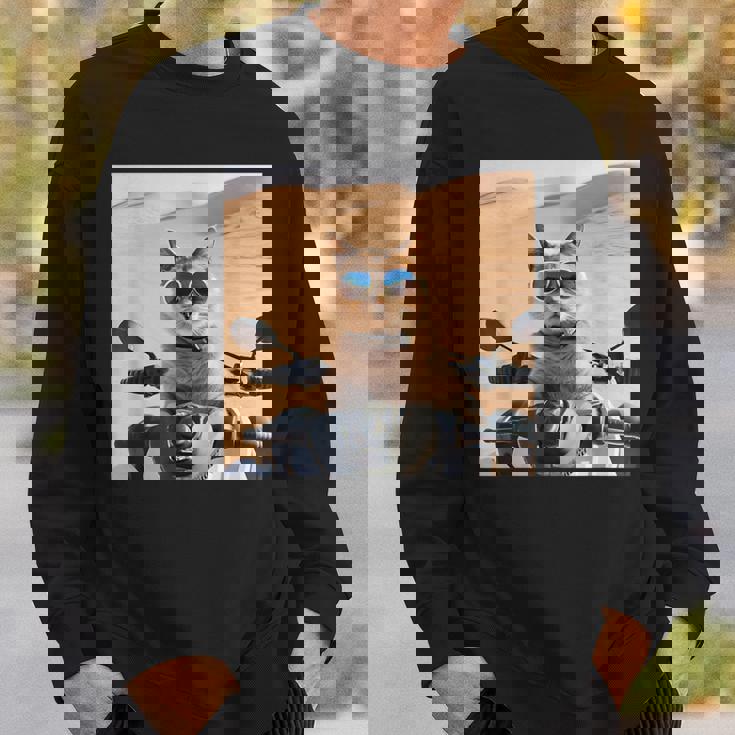 アラビア砂漠でサングラスをかけた猫、ドバイにマッチ。 スウェットシャツ 彼への贈り物