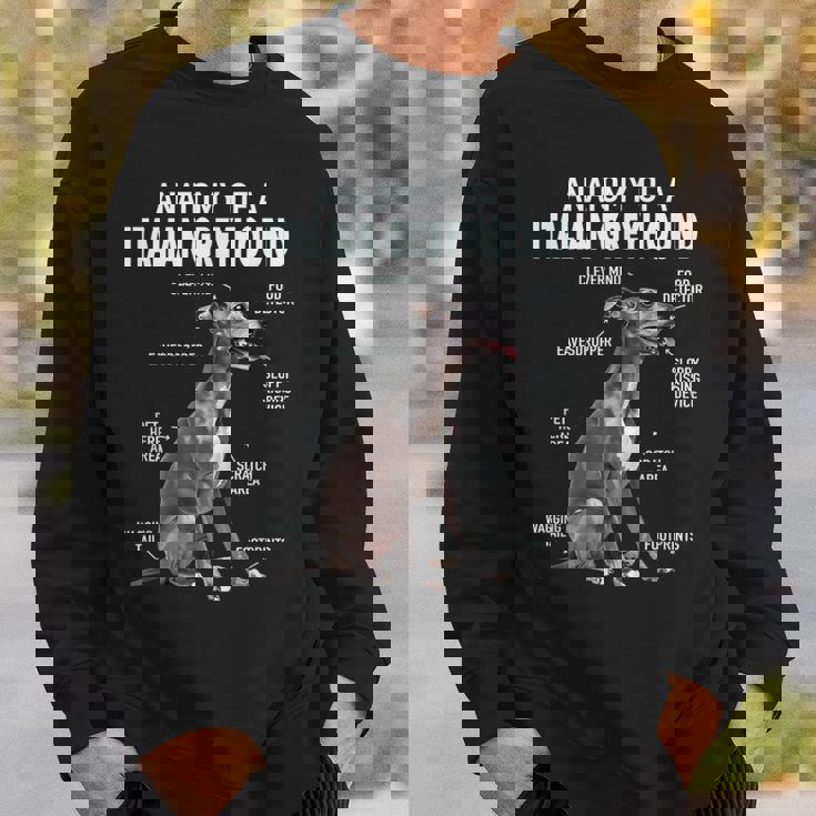 イタリアングレイハウンドの解剖学 スウェットシャツ 彼への贈り物