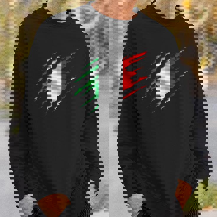 イタリア国旗 トリコロール イタリアバナー スウェットシャツ 彼への贈り物