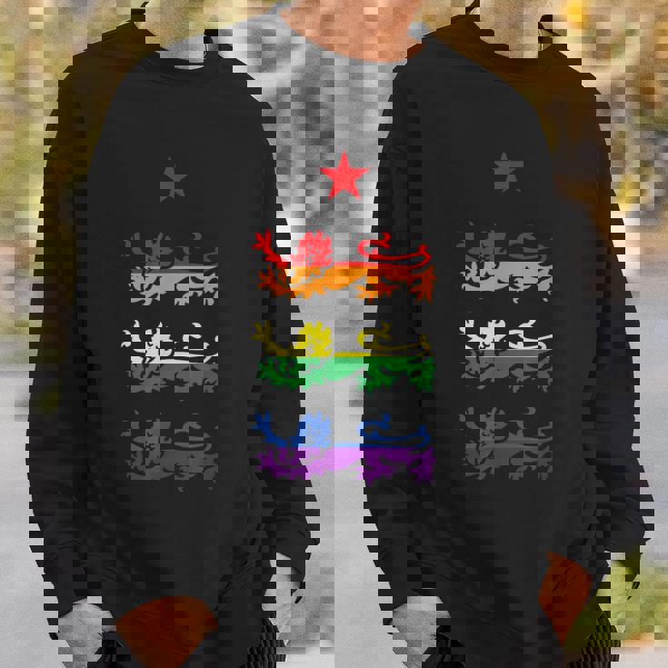 イングランド スリーレインボー プライド 紋章ライオンズ サッカー フットボール スウェットシャツ 彼への贈り物